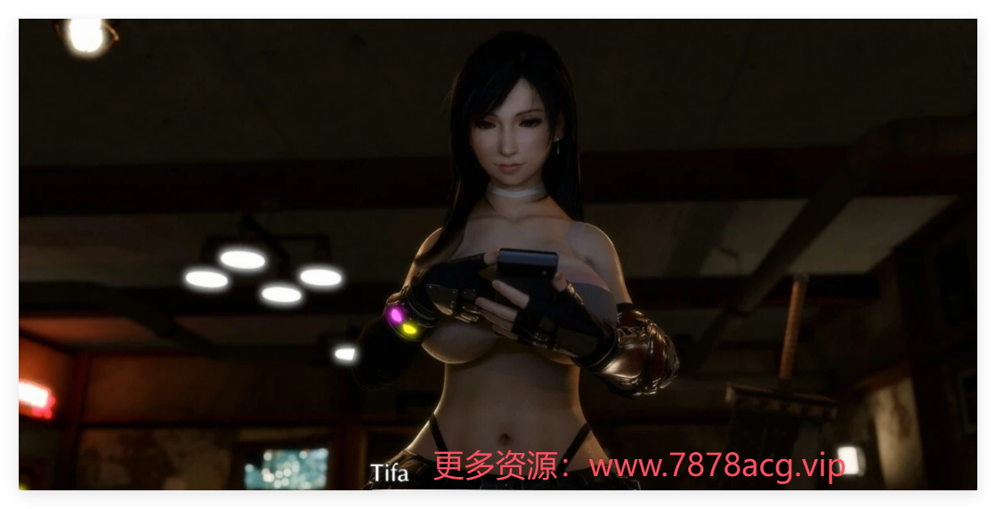 [3D] 【DH/3D/同人】Secazz 大师 2024年08月 更新作品 Tifa【8′/2.9G】